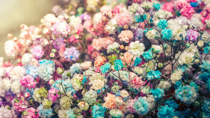 Close-up of a colorful background of dried flowers, in front of a sunny blurred background