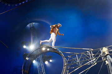 Brave male acrobats in the rotating wheel of death perform under the dome of the circus.