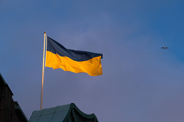 Flag of Ukraine