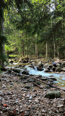 A small mountain river with a flow of water in the Polish mountains. Eastern Sudetes