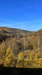 Landscape, autumn mountains covered with forest with blue sky, Poland