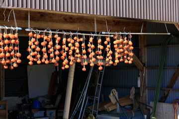 軒先に吊るされた干し柿