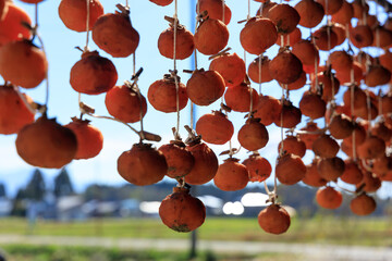 軒先に吊るされた干し柿