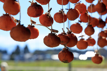 軒先に吊るされた干し柿