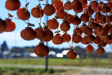 軒先に吊るされた干し柿