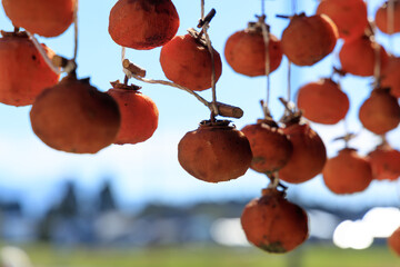 軒先に吊るされた干し柿