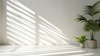 Obraz premium Soft Light and Shadows on White Textured Background