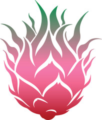 Fresh Dragon Fruit Colorful Vector Illustration