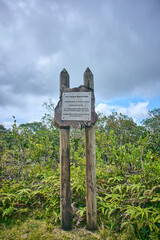 Message for future generations on the importance of saving Mauritius' native forests