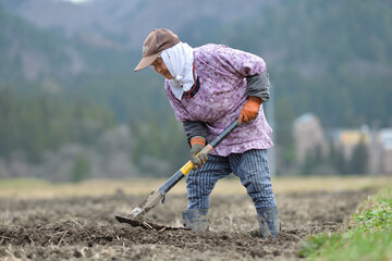 山里の畑を耕すシニア女性