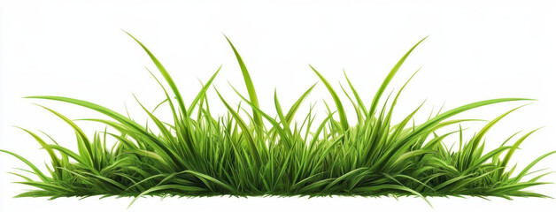 Fototapeta premium Lush green grass with vibrant blades creating natural landscape. Perfect for backgrounds or nature themed designs