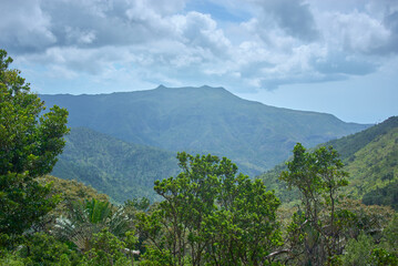Stunning view of Black River Gorges National Park in Mauritius, featuring endemic trees in the background