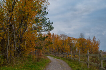 Obraz premium A narrow gravel path winds through the scene, bordered by wooden fencing on the right and a mix of grass and sparse vegetation on the left. Autumn landscape at Paljassaare Peninsula, Tallinn, Estonia.