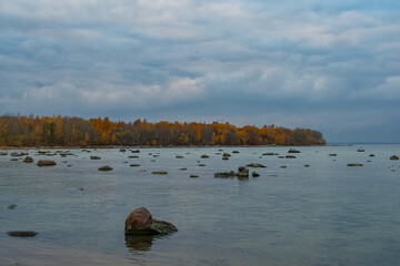 Peaceful autumn landscape at Paljassaare Peninsula in Tallinn, Estonia. The shoreline features a calm, shallow Baltic sea with scattered rocks emerging from the water. In the background autumn forest.