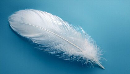 Fototapeta premium シンプルなライトブルー背景に、小さな白い羽が隅に静かに置かれた冬の情景を演出するデザイン。