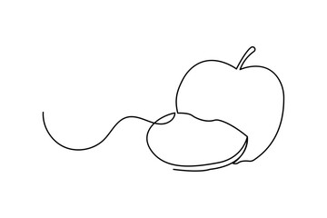Apple continuous one line drawing of fruit outline  isolated vector icon  
