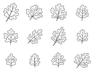 Whimsical Oak Leaf Graphic