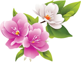 Fototapeta premium Vector beautiful flower design