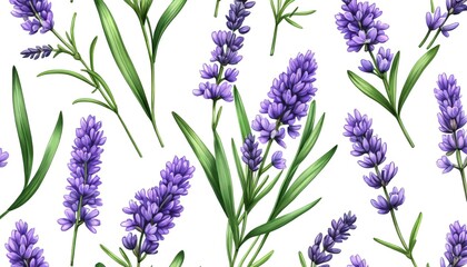Naklejka premium Seamless pattern of purple lavender flowers on white background