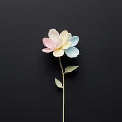 Naklejka premium white flower on black background