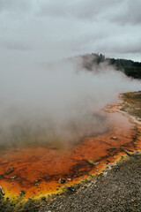 Fotografía de la actividad geotermal en Wai O Tapu Park, Rotorua, Nueva Zelanda.