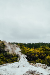 Fotografía del Geiser Lady Knox en Wai O Tapu, Rotorua, Nueva Zelanda.