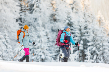 winter trekking. two girls with backpacks and snowshoes. walking in the snow among the trees. winter hike in the mountains. adventure in the mountains.