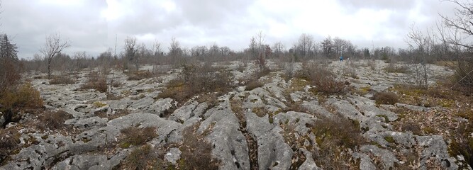 Le lapiaz de Loulle (Jura)