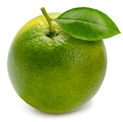 Fresh Green Orange fruit isolated on white background, Citrus Sinensis Orange with slices on White Background With clipping path.