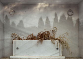 Dried ferns on a white marble tombstone