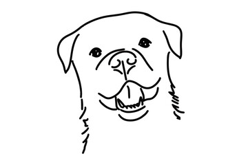 Vector illustration of a Rottweiler head drawing