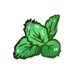 Freshly picked green mint leaves displayed on a clean white background for culinary uses and decoration possibilities