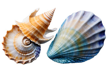 Obraz premium Watercolor seashells set isolated. Collection realistic sea shell for design., Generative AI