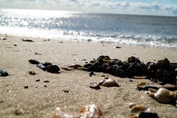 an der Nordsee in Hvidbjerg Strand Westjütland