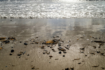 an der Nordsee in Hvidbjerg Strand Westjütland