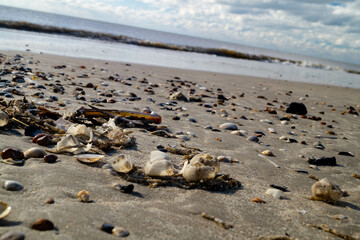 an der Nordsee in Hvidbjerg Strand Westjütland