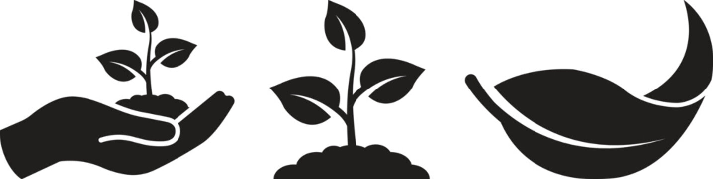 Vector icon of hand with plant seeds, Plant seeds, Floating or falling leaves icon, Vector illustration