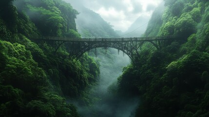Fototapeta premium Bridge over a lush green gorge, high and scenic, adventure and exploration, natural landscape, dramatic and beautiful view.