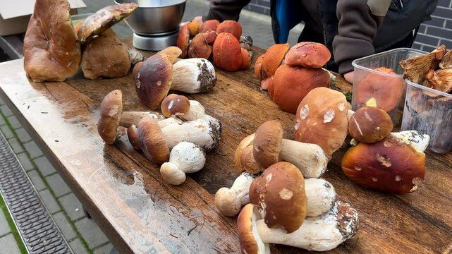 Boletus Edulis or Penny Bun on outdoor market stall, seller standing behind holding his hands on the table top, handheld shot.