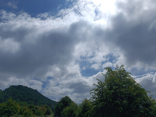 Sky and clouds and trees