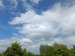Sky and clouds and trees