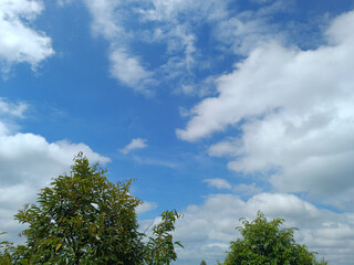 Sky and clouds and trees
