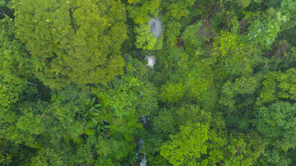 Carbon credit concept village in the lush green rain cloud and foggy cover tropical rain forest mountain during the rainy season..