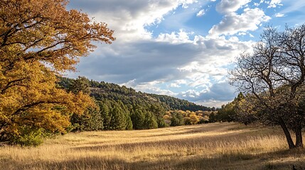 Fototapeta premium Autumn Meadow Landscape