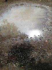 puddle on the path