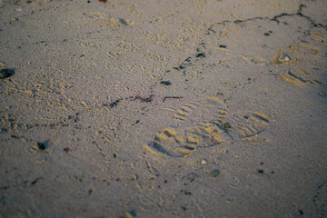 the footprints on the sand near the winter sea