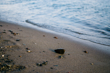 the footprints on the sand near the winter sea