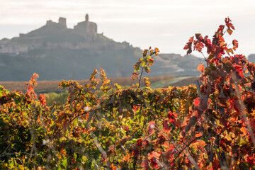Autumn-colored vines stretch across the foreground while historic hilltop structures stand silhouetted against a soft, evoking timeless serenity in San Vicente de la Sonsierra in La Rioja 