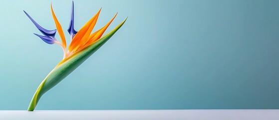 Obraz premium Vibrant Bird of Paradise Flower on Neutral Background with Minimalist Aesthetic