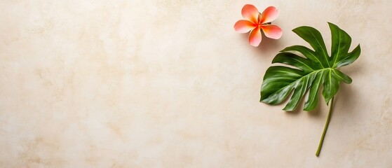Lush Tropical Monstera Leaf and Pink Frangipani Floral Arrangement on Neutral Backdrop